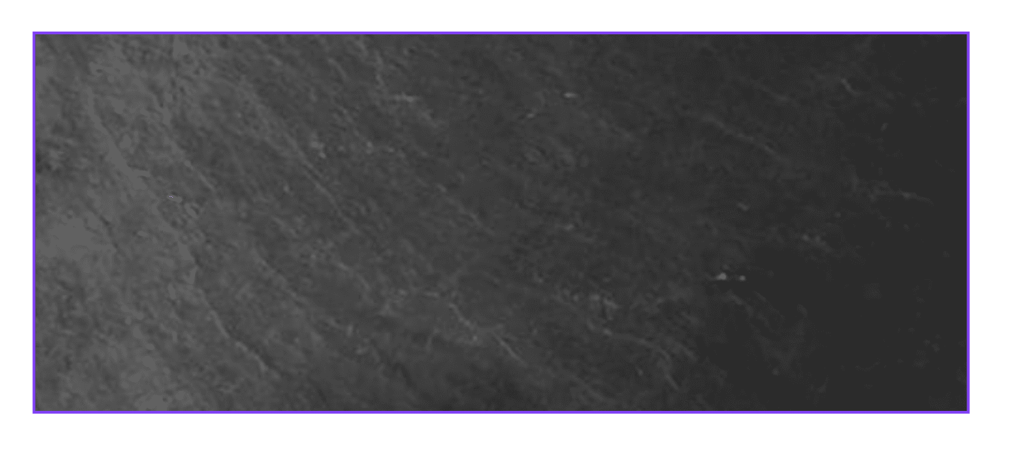 bandeja de pizarra natural negra de 25x35 cm ideal para presentaciones de alimentos en catering y restaurantes